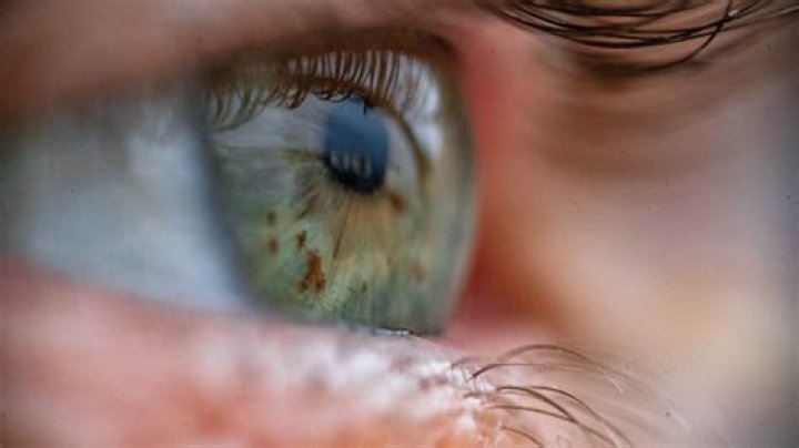 Discovering Glen Powell's Eye Color: A Closer Look