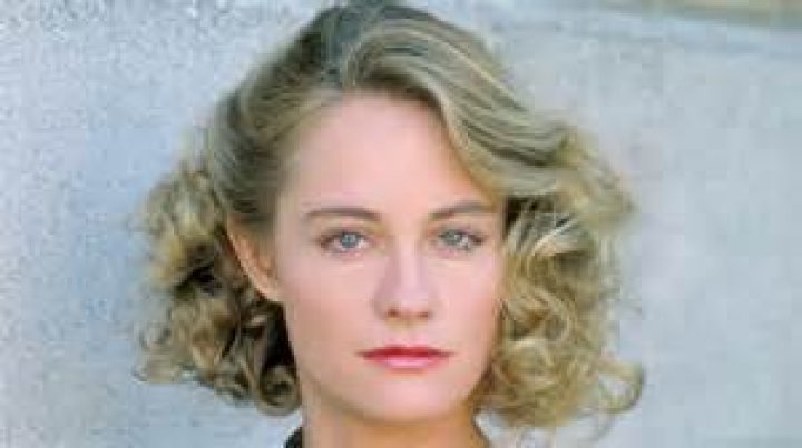 Exploring The Multifaceted Career Of Cybil Shepherd