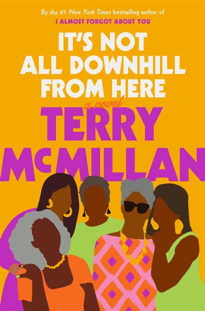 The Inspiring Journey Of Terry McAnthony McMillian