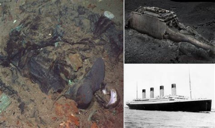 Unraveling The Mystery Of Human Remains Found: A Deep Dive Into The Investigation